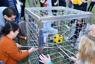 The Cage Game
