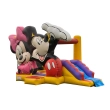 Mickey Bouncy